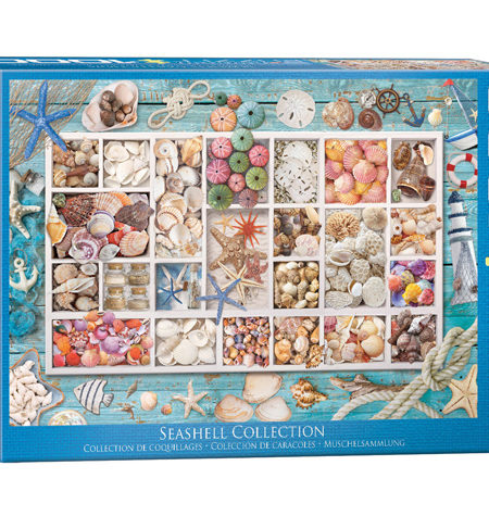 Puzzle 1000 Colección de conchas de mar